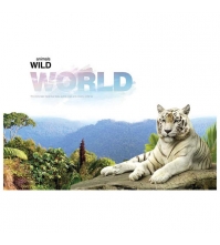 Альбом для рисования 32л. А4 на скрепке Животные. Wild world, блок 100 г/м