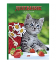 Дневник 5-11 кл. 48л. (твердый) Котенок с клубничкой, поролон